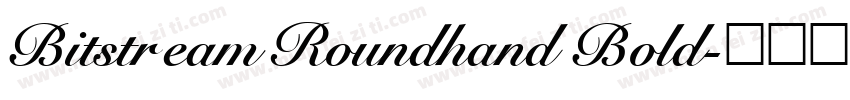 Bitstream Roundhand Bold字体转换